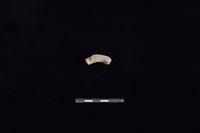 陶把藏品圖，第1張